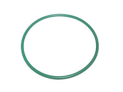 GM 22682111 Seal,Fuel Pump (O Ring)