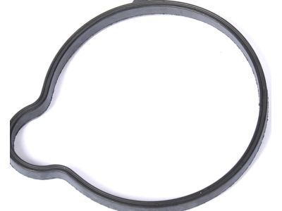 Chevrolet Thermostat Gasket - 55565619