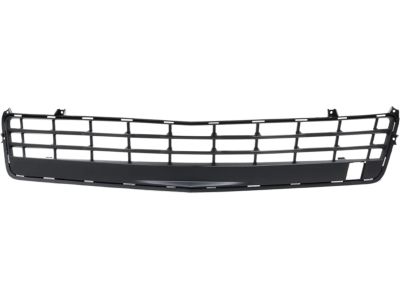 GM 22829524 Grille, Radiator Lower