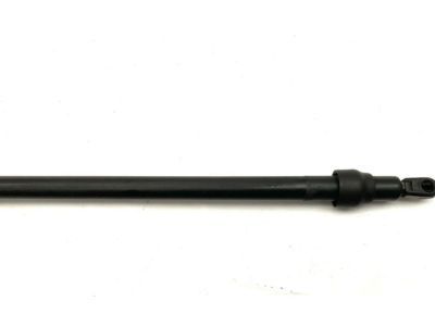 GM 10175784 Strut Assembly, Hood