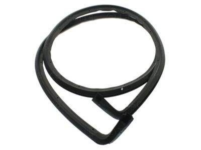 2015 Cadillac CTS Weather Strip - 25876570
