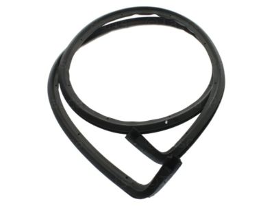 Cadillac CTS Weather Strip - 25876570