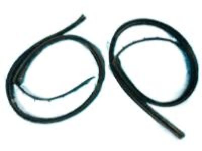 2006 Cadillac SRX Door Seal - 19169084