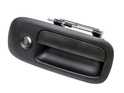 Chevrolet Express Door Handle - 25989399