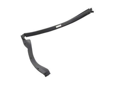 Chevrolet Trailblazer Weather Strip - 25775643