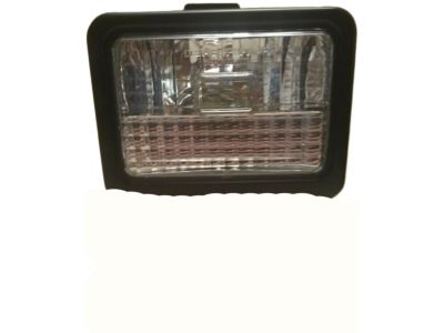 GM 5975346 Lamp,Parking