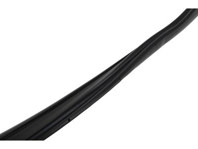 2021 Chevrolet Silverado Door Seal - 84244793