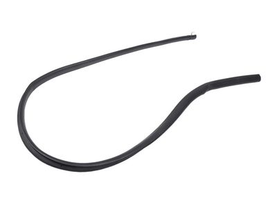 2021 Chevrolet Blazer Door Seal - 42440816