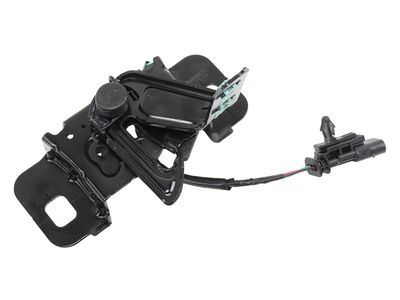 GM 84896071 Hood Latch Assembly 84896071 GM Hood Latch Assembly Product Photo 1 of 3