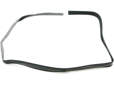 Chevrolet V30 Weather Strip - 14027778