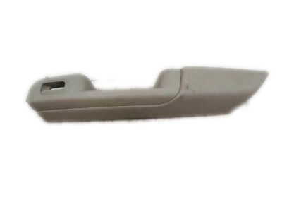 GM 15091856 Armrest,Rear Side Door