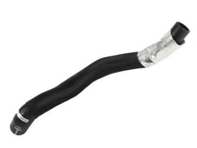 GM 19258622 Radiator Outlet Hose (Lower)