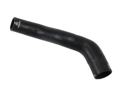 GM 19130608 Radiator Outlet Hose (Lower)