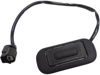 22864934 - Genuine GM Bezel, Rear Compartment Lid Release Switch