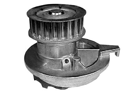 Buick Skyhawk Water Pump - 12508606