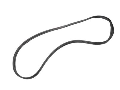 10371150 GM Weatherstrip, Lift Gate Product Photo 2 of 4