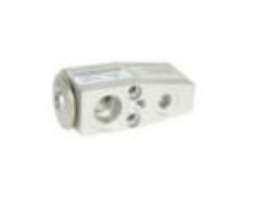 GM A/C Expansion Valve - 13313727