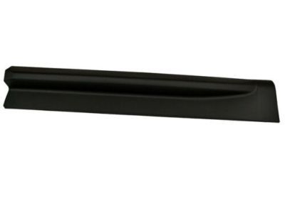 2010 Chevrolet Equinox Door Moldings - 25824827