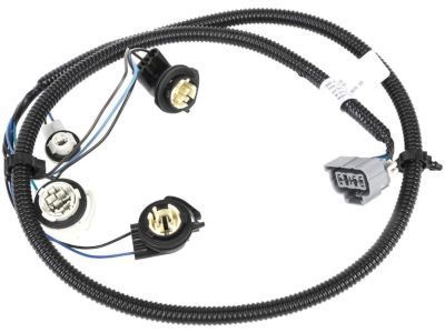 GM 16531401 Harness Asm,Tail Lamp Wiring (L.H.)