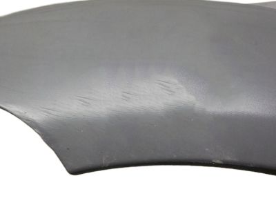 GM 88973242 Molding,Rear Wheel Opening *Gray