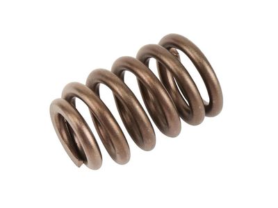 Pontiac Grand Prix Rocker Shaft Spring Kit - 19257200