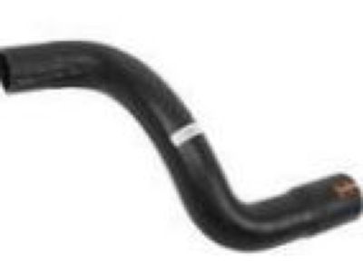 2005 Buick LaCrosse Radiator Hose - 15835973