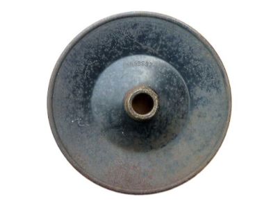 GM 10009692 Pulley,P/S Pump