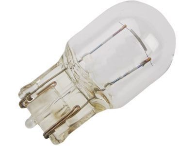 GM 13579198 Bulb, Tail Lamp