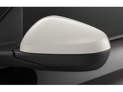 Chevrolet Trailblazer Mirror Cover - 42652150