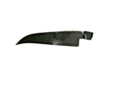 GM 15006796 Filler, Front Fender