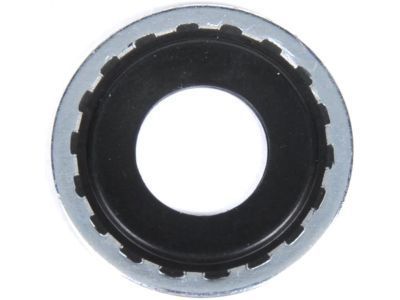 GM 10108689 Seal, Engine Coolant Air Bleed Pipe