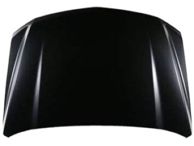 GM 22756628 Hood Asm (Chevy)