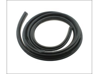 Chevrolet Cobalt Weather Strip - 15824088