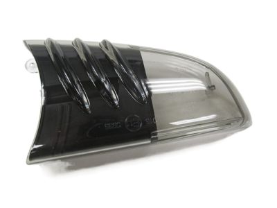 GM 19120869 Lens,Auxiliary Side Front Turn Signal Lamp