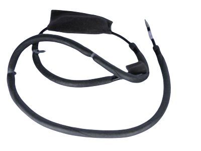 Buick Rainier Antenna Cable - 25893238