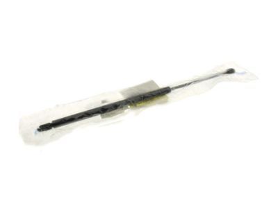 Chevrolet Monte Carlo Lift Support - 15833919