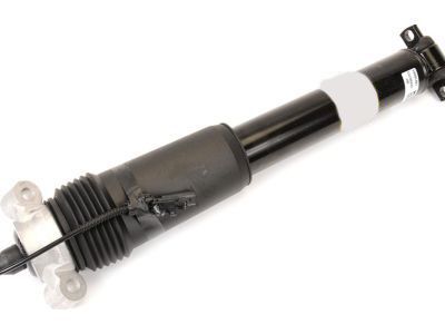 23457911 - Genuine GM Absorber Assembly, Front Shock