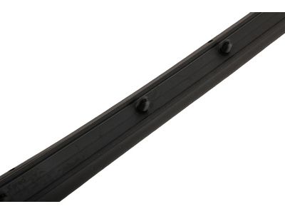 Buick Encore GX Weather Strip - 42664034