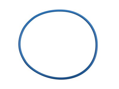 GM 24299293 Seal, Trns Fluid Fltr (O Ring) 24299293 GM Seal, Trns Fluid Fltr (O Ring) Product Photo 1 of 2