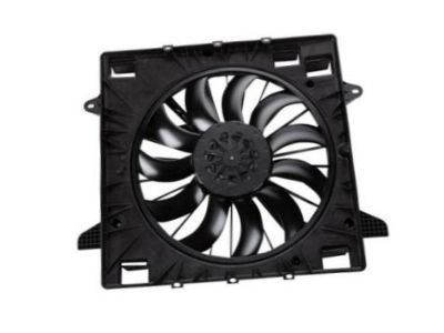 GM 23419653 Fan Assembly, Engine Cooler