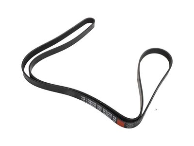 Oldsmobile Aurora Drive Belt - 12569505