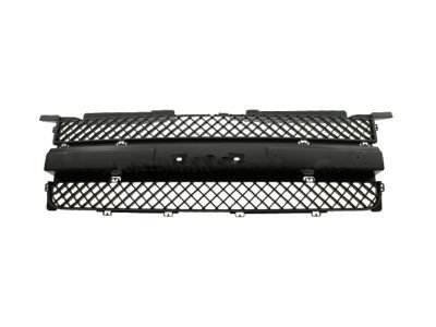 GM 15134119 Grille, Radiator