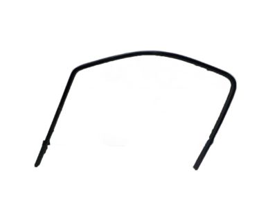 GM 22803682 Weatherstrip Assembly, Front Side Door Window