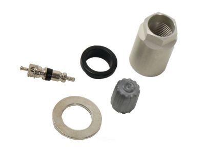 GM 19117464 Valve Kit,Tire