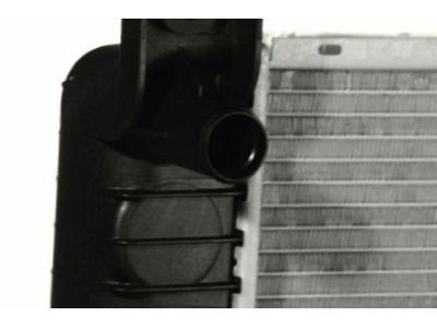 GM 19256745 Radiator Assembly