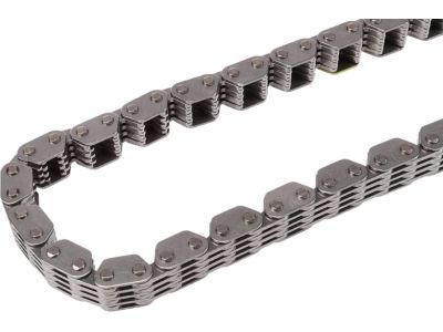 GM 12700436 Chain Pkg, Tmg