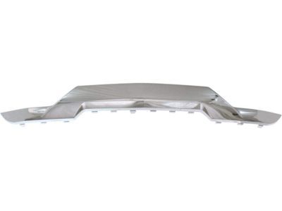 GM 23243083 Plate, Front Bumper Fascia Skid *Chrome M