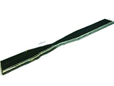 Buick Park Avenue Door Moldings - 25603114