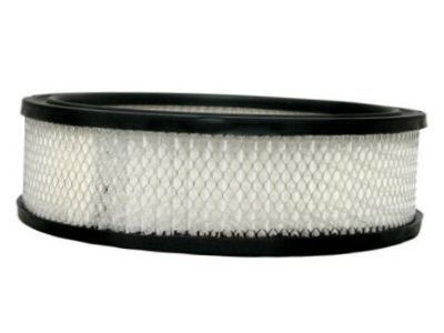 GM 25040929 Element,Air Cleaner