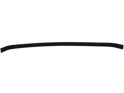 GM 15574113 Strip,Front Bumper Rubber